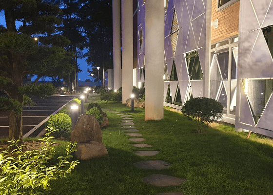 NVC International