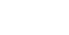 NVC International