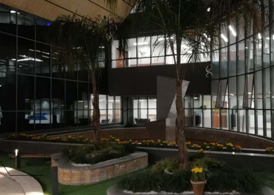 NVC International