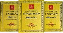 NVC International
